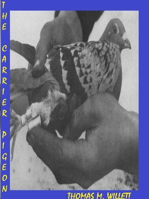 cover image of The Carrier Pigeon